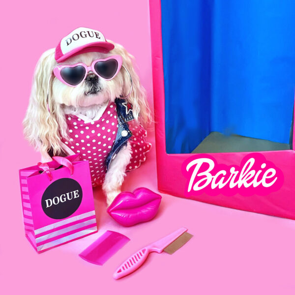 Barkie Hair Brush Set - Image 2