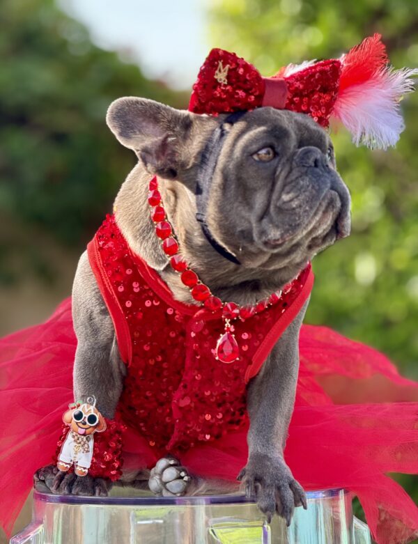 Red Sequin Tutu Dress - Image 4