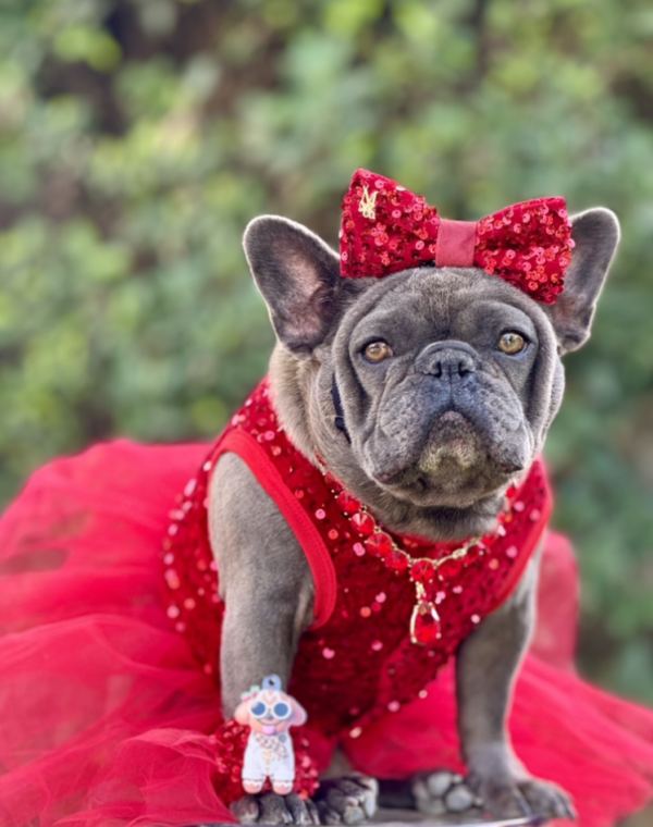 Red Sequin Tutu Dress - Image 3