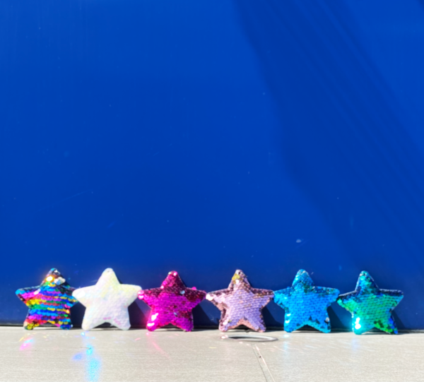 Sequin Star Charms